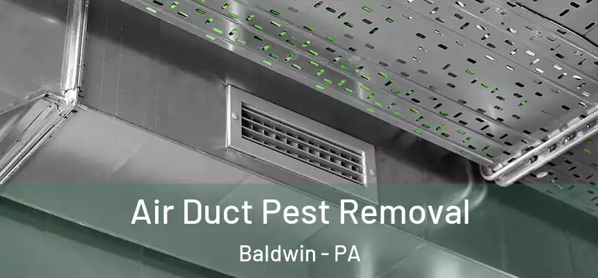  Air Duct Pest Removal Baldwin - PA