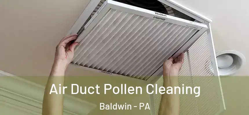 Air Duct Pollen Cleaning Baldwin - PA