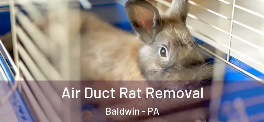  Air Duct Rat Removal Baldwin - PA