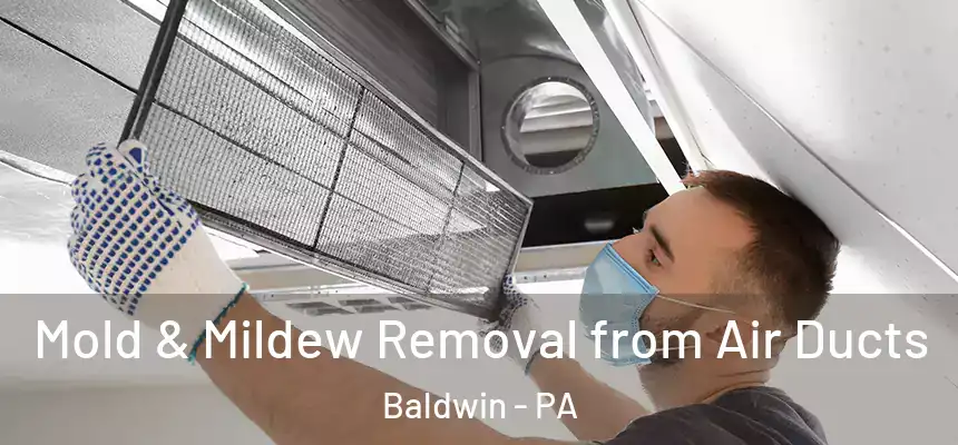  Mold & Mildew Removal from Air Ducts Baldwin - PA