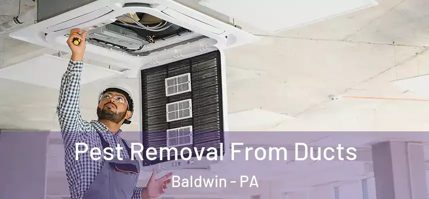 Pest Removal From Ducts Baldwin - PA
