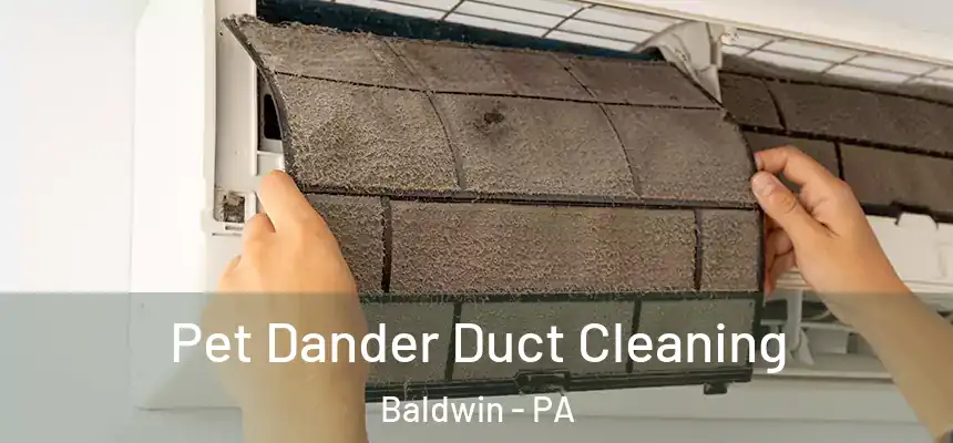 Pet Dander Duct Cleaning Baldwin - PA