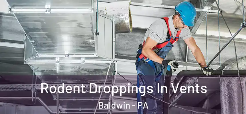  Rodent Droppings In Vents Baldwin - PA