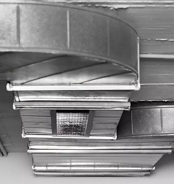 Professional Air Duct Pest Removal in Baldwin, PA