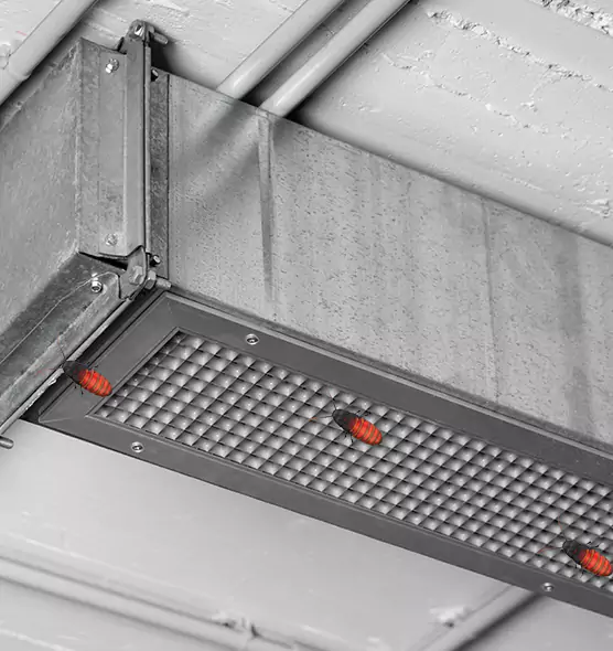 Affordable Insect Removal from Air Ducts in Baldwin, PA