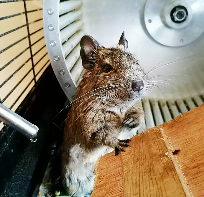 Why Homeowners & Businesses Trust Us Baldwin, PA